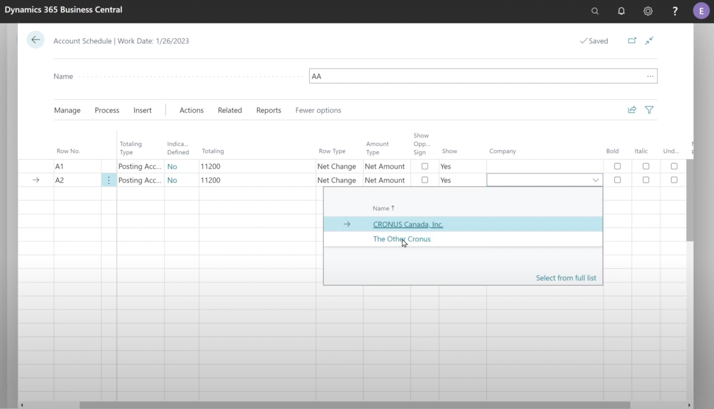 company column in the advanced account schedules app
