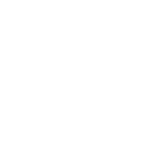 efoqus microsoft partner