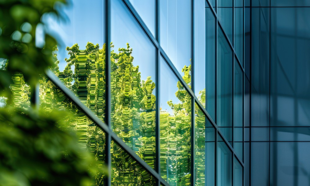 Boost Eco-Friendly Business Practices with EFOQUS and Dynamics 365 Business Central